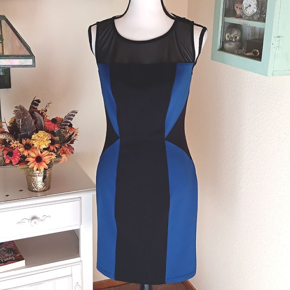 En Focus Studio Color Block Dress
